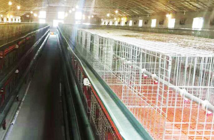Máquina de solda ultrassônica de correia para remoção de estrume com tecnologia Jiayuanda Technology Customzied